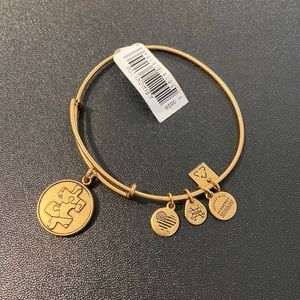Alex and Ani Autism Puzzle Piece bracelet